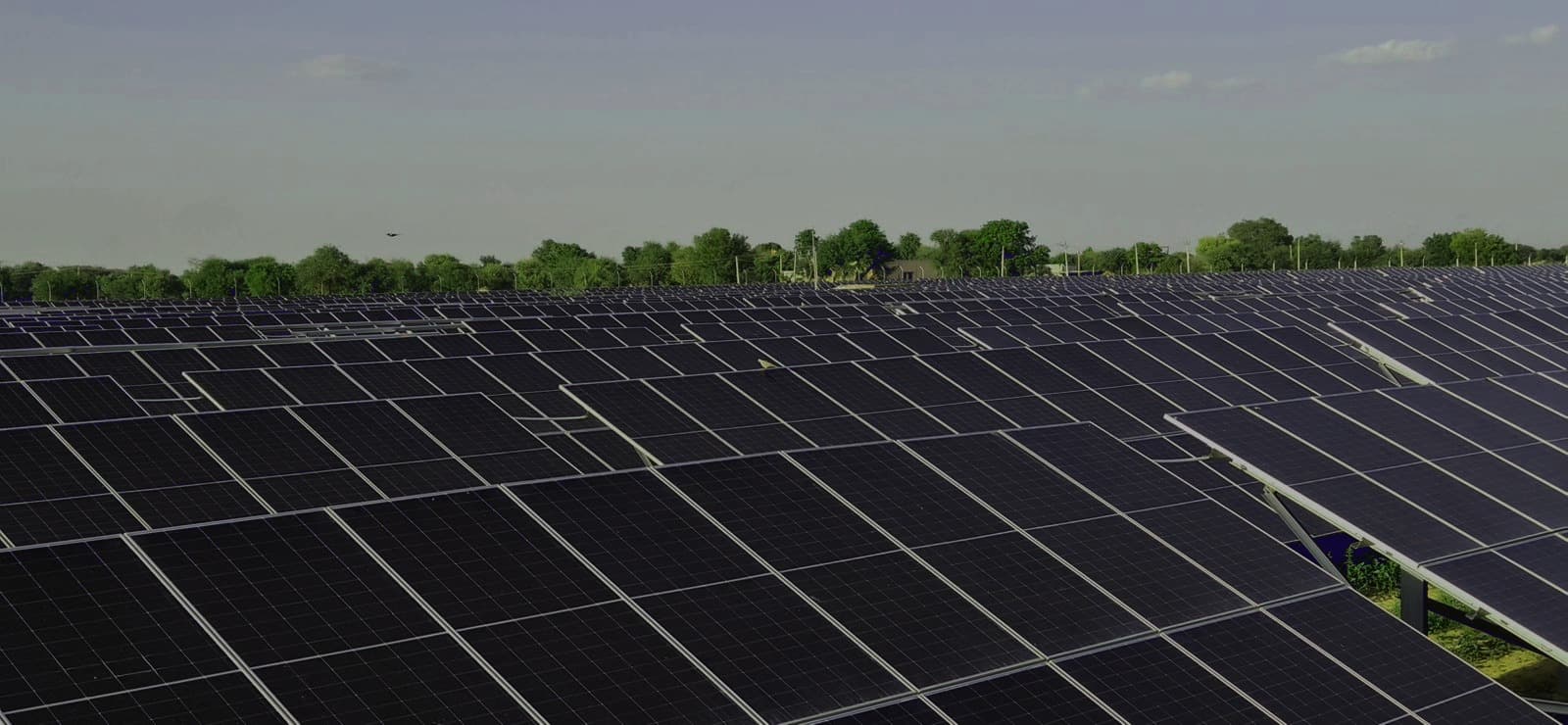 Umra, Hansi Solar Project